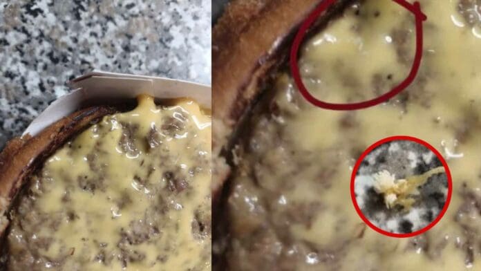 Encuentra huevos de mosca en su hamburguesa de Mcdonald's