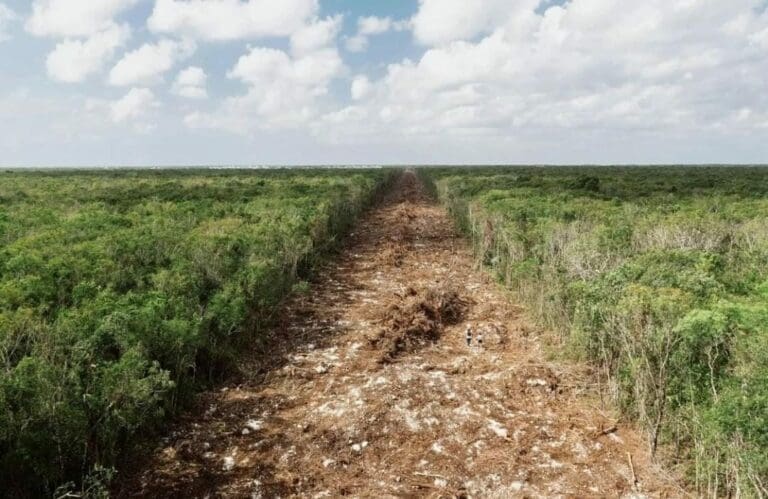 Miguel Torruco asegura que fotos que muestran daños por Tren Maya están truqueadas