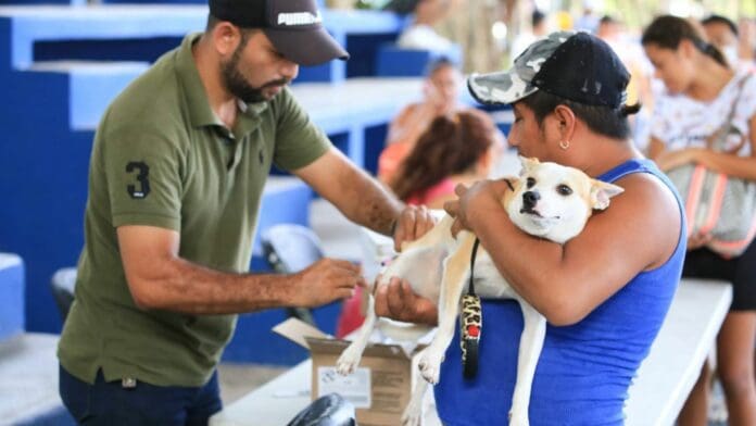 Fortalecen salud de mascotas en Solidaridad