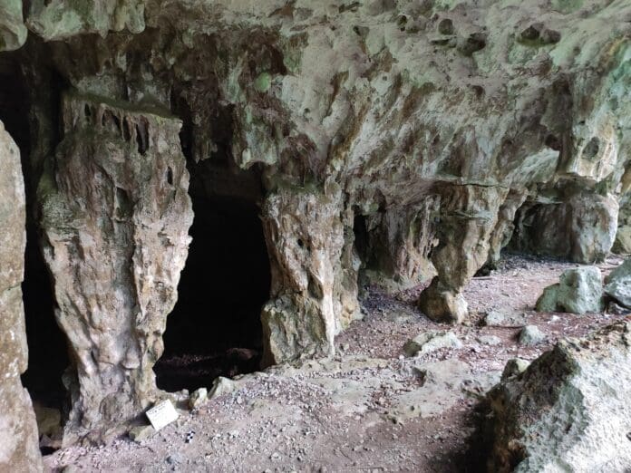 INAH miente: sitios arqueológicos se descubrieron antes del Tren Maya