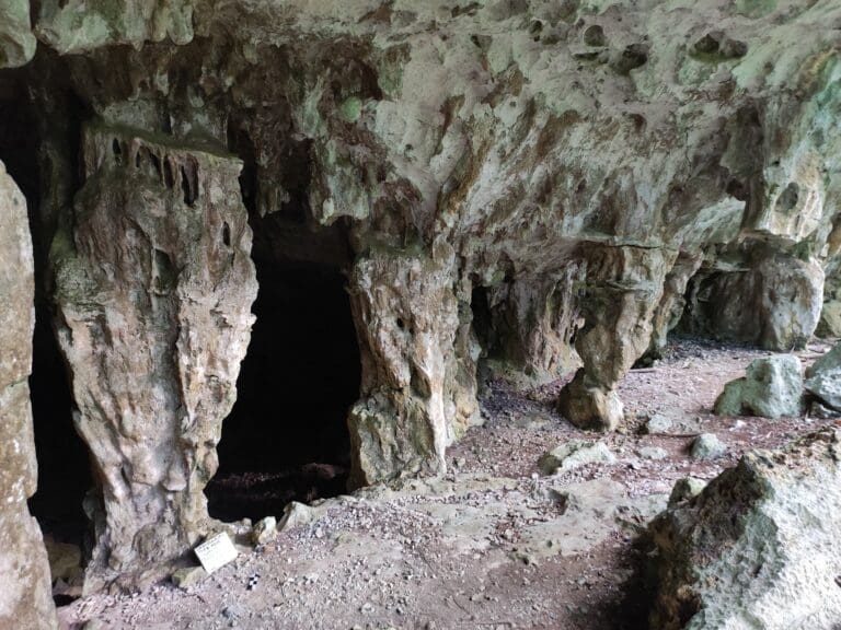 INAH miente: sitios arqueológicos se descubrieron antes del Tren Maya