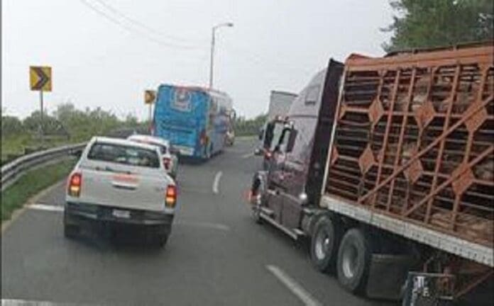 En Veracruz, reportan asalto de civiles armados a 40 vehículos tras accidente carretero
