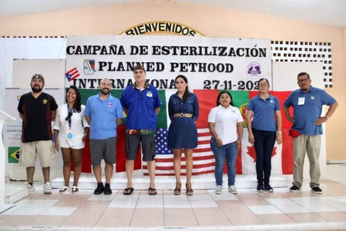 EXITOSA JORNADA DE ESTERILIZACIÓN DE FAUNA DOMÉSTICA EN PUERTO MORELOS 