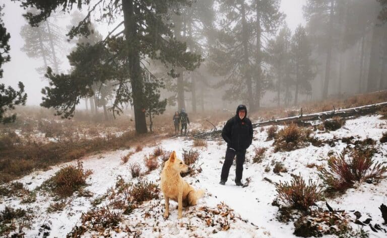 Video: La primera nevada del año cayó en Nuevo León