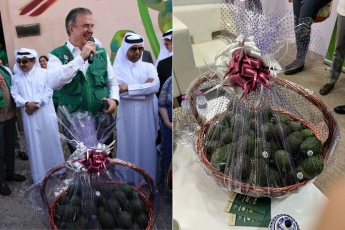 Ebrard anuncia exportación de aguacate a Qatar