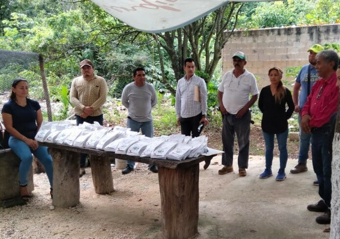 Fortalecen a mujeres del campo portomorelense con la entrega de semillas de hortaliza