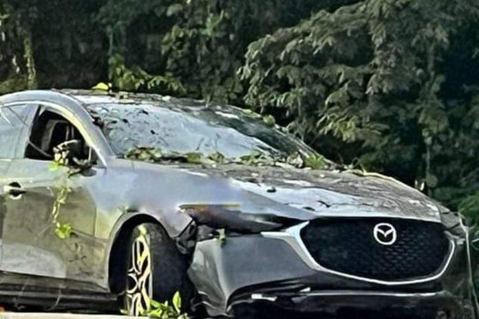 Identifican a conductor ejecutado en el Arco Vial de Playa del Carmen; era coordinador regional del Conalep