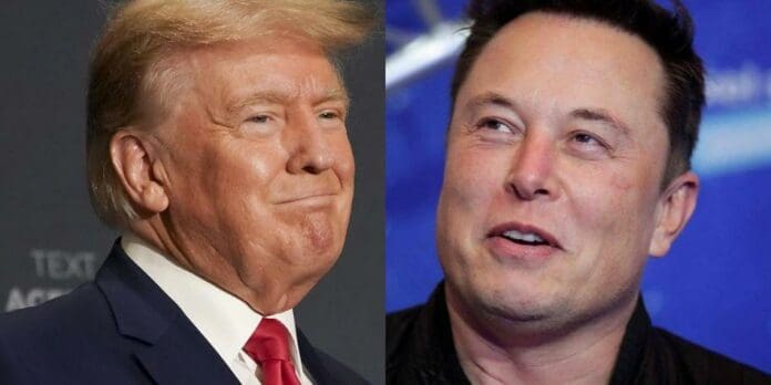 Elon Musk somete a encuesta tuitera si permite o no regreso de Trump a Twitter