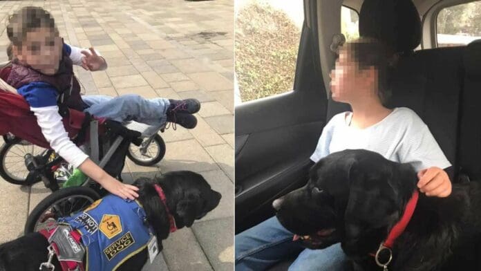 Denuncian discriminación a niña con autismo en plaza de CDMX