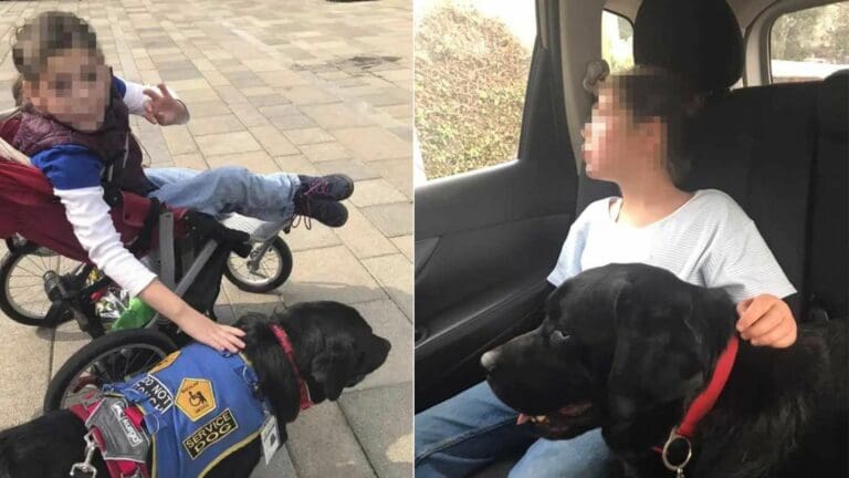 Denuncian discriminación a niña con autismo en plaza de CDMX