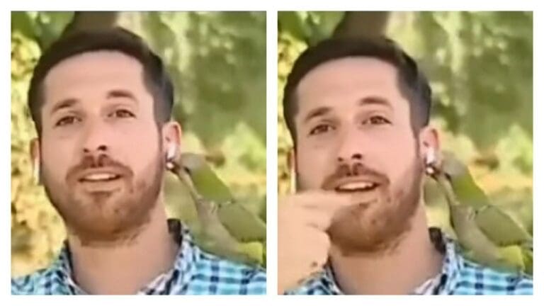 Video: Loro se vuelve viral tras realizar un insólito robo a periodista