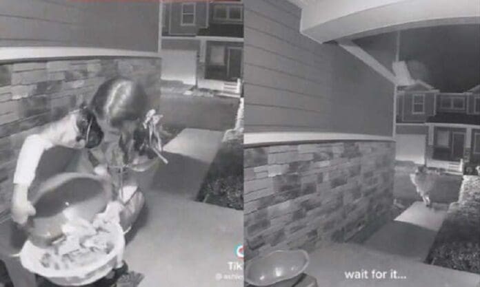 Captan a niña robando todos los dulces de Halloween; aseguran que sus papás la incitaron
