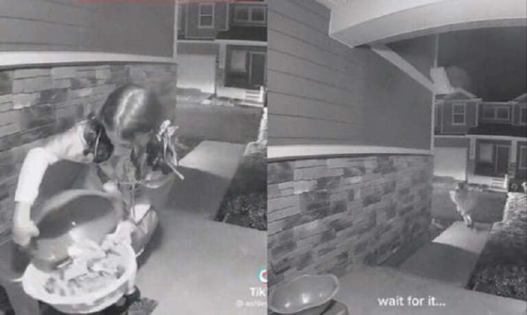 Captan a niña robando todos los dulces de Halloween; aseguran que sus papás la incitaron