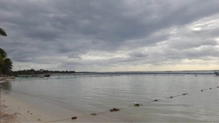 Suspenden atraco de cruceros en Mahahual por huracán Lisa