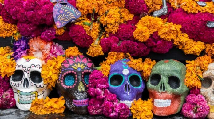 Cempasúchil, los mitos y realidades detrás de la famosa flor del Día de Muertos.