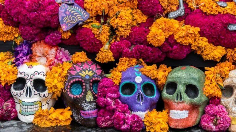 Cempasúchil, los mitos y realidades detrás de la famosa flor del Día de Muertos.