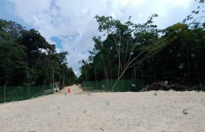 Recibieron ejidatarios 480 mdp por terrenos del futuro Aeropuerto Internacional de Tulum 