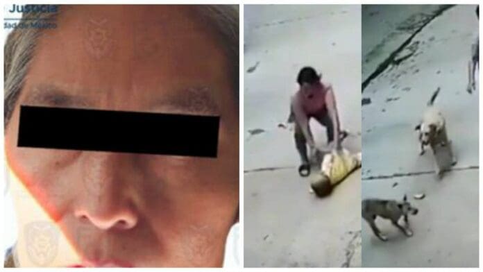 Detienen a mujer por muerte de niño atacado por perros en alcaldía Miguel Hidalgo