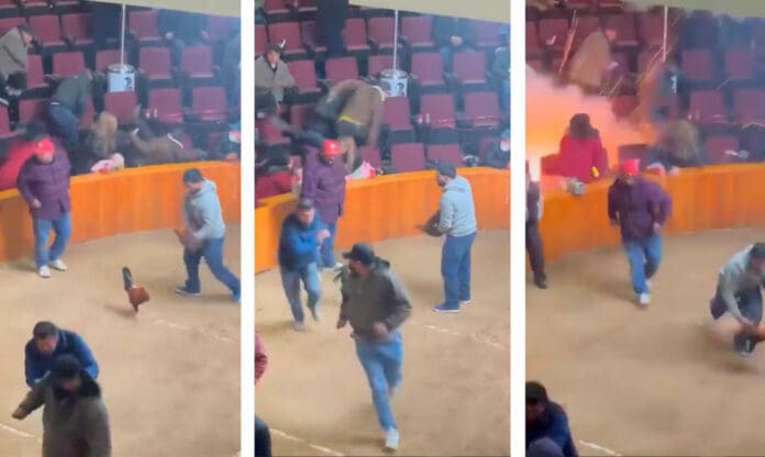 Explota una granada en palenque de gallos en Hidalgo