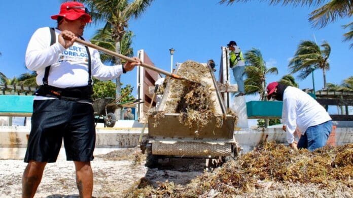 Este año se reforzaron los servicios públicos en Puerto Morelos para mantener una buena imagen urbana