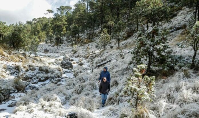 Nueve jóvenes desaparecieron tras subir al Ajusco, pese a que autoridades habían pedido que nadie subiera, por lo peligroso que es.