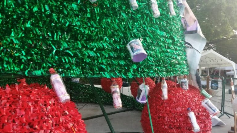 Colectivo coloca “esferas” con fotos de sus hijos desaparecidos en árbol de Navidad en el centro de Cancún