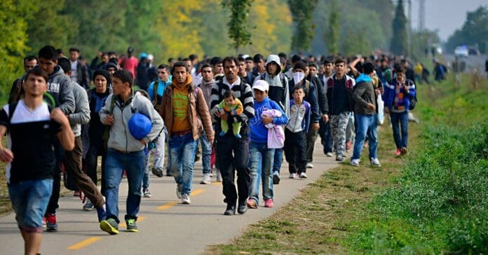 Más de 50 mil migrantes muertos los últimos ocho años