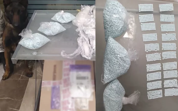 Guardia Nacional decomisó más de 10 mil pastillas de fentanilo en el Aeropuerto Internacional de Toluca