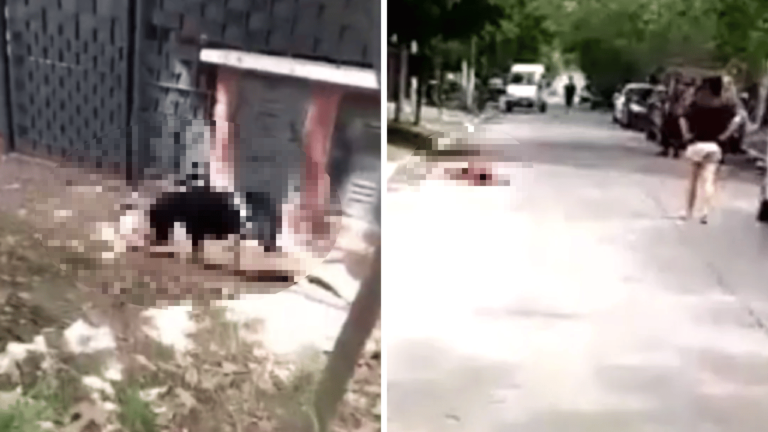 VIDEO Policía mata a 2 ladrones que asaltaron a su familia en Argentina