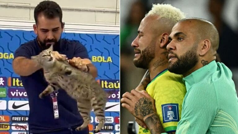 Brasil y la maldición del gato: el jefe de prensa maltrató al animal y aunque lo adoptaron les llegó la eliminación