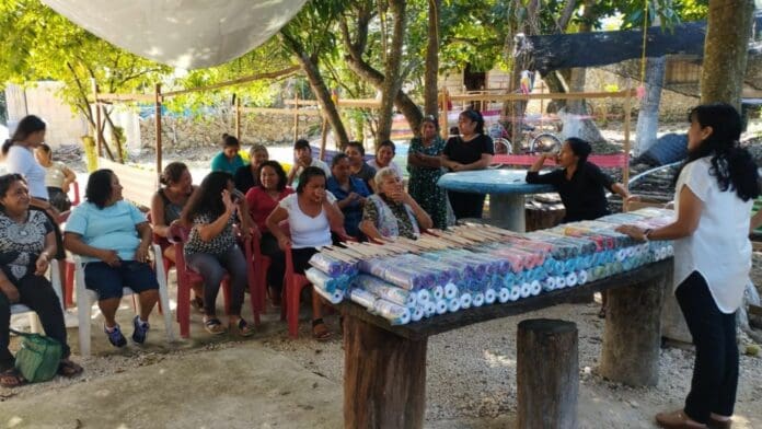 Gestiona gobierno de Puerto Morelos apoyos a mujeres emprendedoras de Leona Vicario