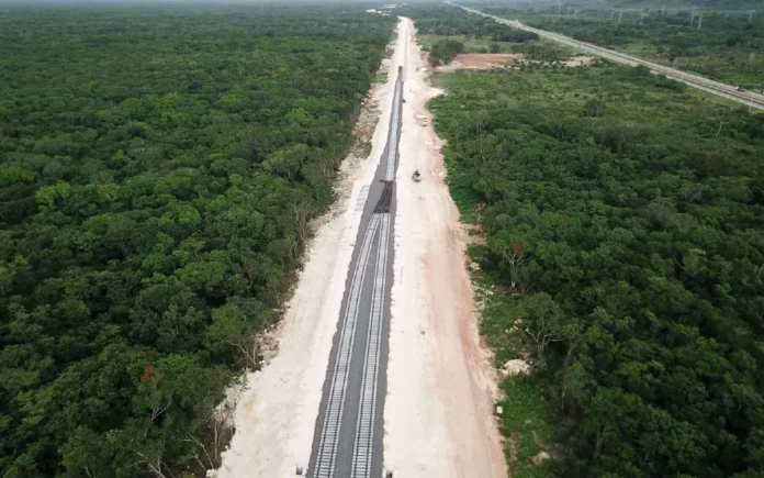 ONU: Gobierno y empresas deben abordar impactos negativos del Tren Maya