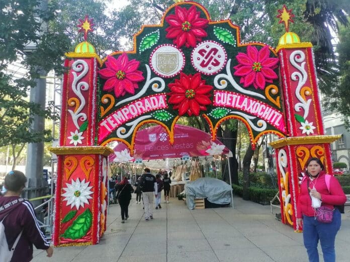 Se llena de Nochebuenas la CDMX