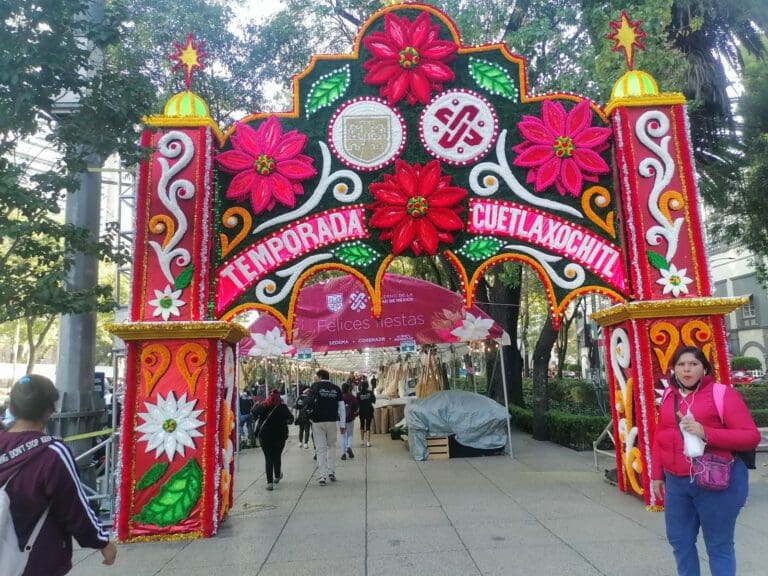 Se llena de Nochebuenas la CDMX