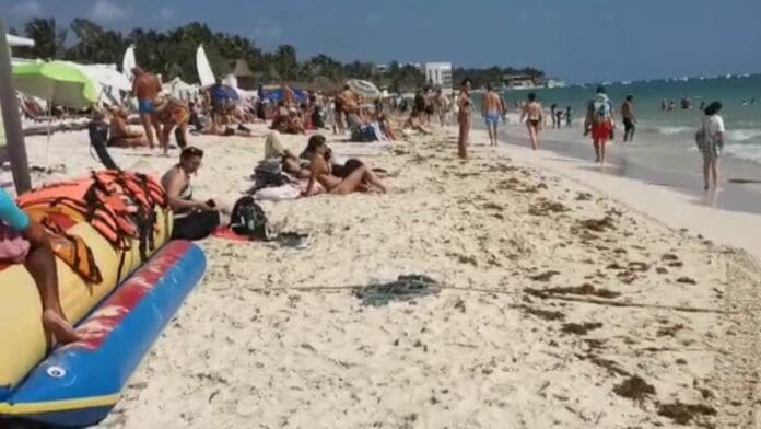 Nutrida afluencia; hasta 12 mil bañistas se dejan ver en Playa del Carmen