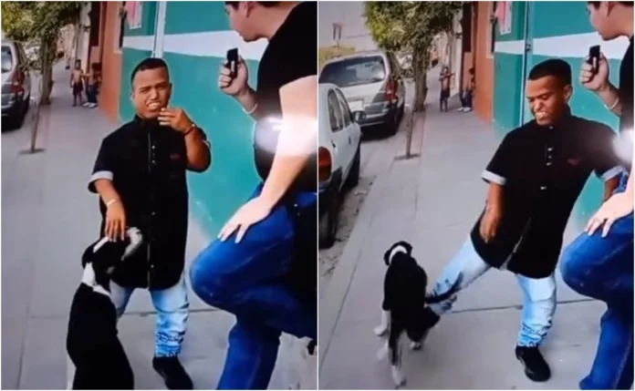 VIDEO: Captan a Medio Metro pateando a perrito en entrevista; lo tunden en redes