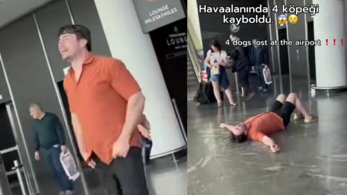 VIDEO: Hombre entra en crisis luego de que aerolínea extravió a sus 4 perritos
