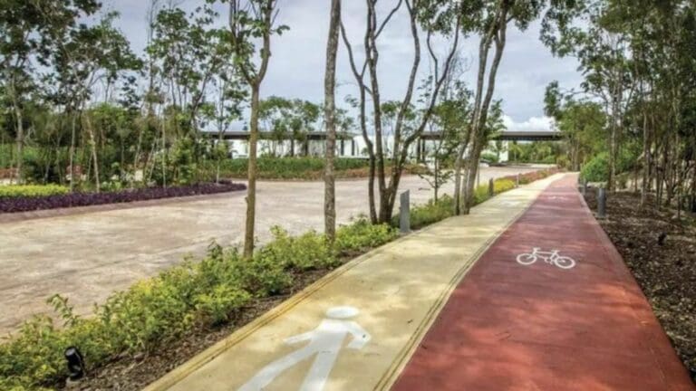 Parque Metropolitano es público, Mayakoba no puede restringir el acceso: Lili Campos