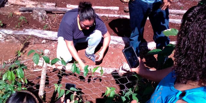 IMPULSA GOBIERNO DE PUERTO MORELOS A MUJERES DEL CAMPO