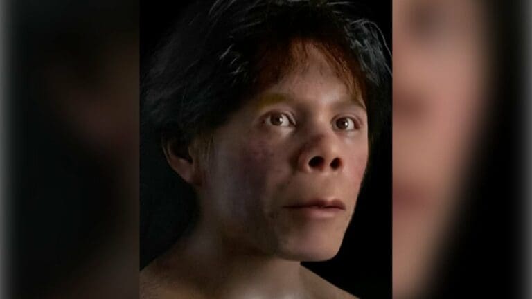 Paleoantropólogos chinos y rusos restauran el rostro de un niño neandertal