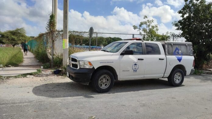 Encuentran armas largas tiradas en las inmediaciones del Arco Norte de Cancún 