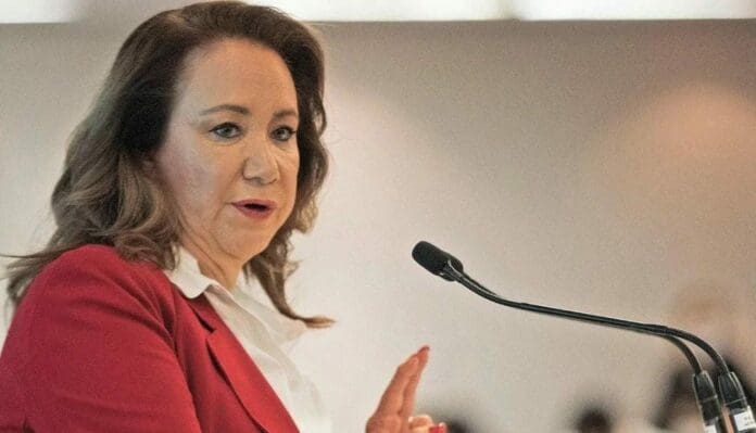 El caso de presunto plagio de la ministra Yasmín Esquivel ha quedado en manos de un funcionario sin experiencia previa en temas educativos.