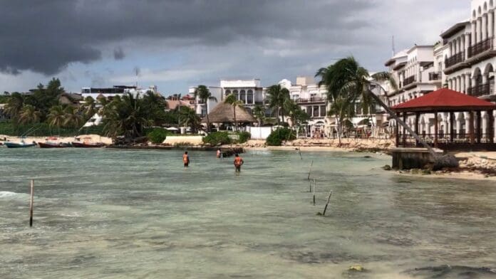 ​​Playa del Carmen estará libre de sargazo en 2023; habrá doble maquinaria para limpiar: Zofemat