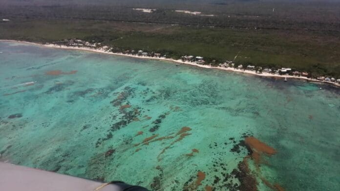 Descargar balastro de Cuba en Puerto Morelos traería daños ambientales, advierte activista