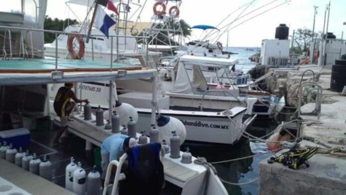 Reportan náuticos de Cozumel buena actividad y piden a autoridades regular a comisionistas estafadores