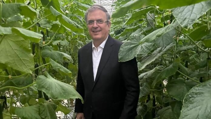 Buscan generar una estructura en Quintana Roo para apoyar a Marcelo Ebrard