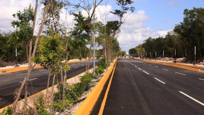 En poco menos de dos meses de 2023, el gobierno de Lili Campos ya plantó más de mil 740 arbolitos en Playa del Carmen.