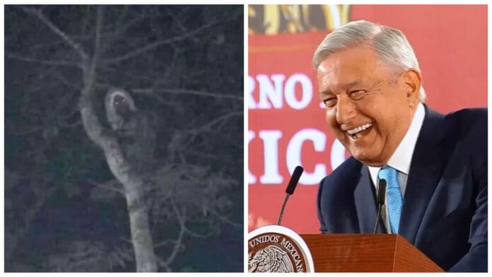 ¿Bruja de Tamaulipas o silueta en NL AMLO comparte foto ‘fake’ de aluxe en obras del Tren Maya