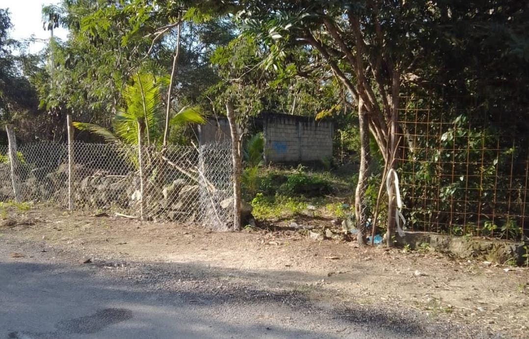 Solidaridad, segundo municipio con más invasiones en Quintana Roo