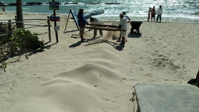 Trabajo coordinado para contener llegada de sargazo